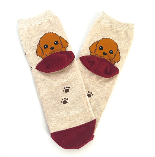 Poodle Socks - Chew Time - 1