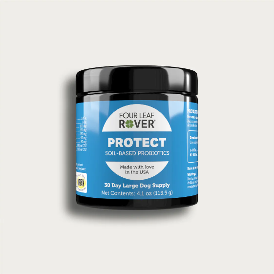 Daily Probiotics - Protect