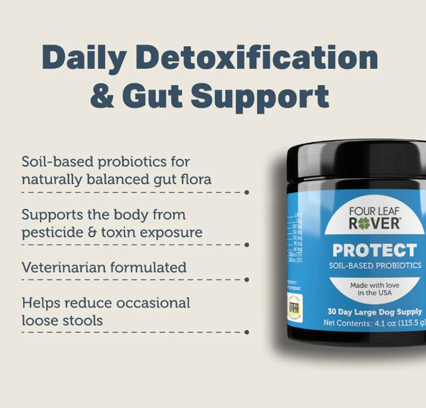 Daily Probiotics - Protect