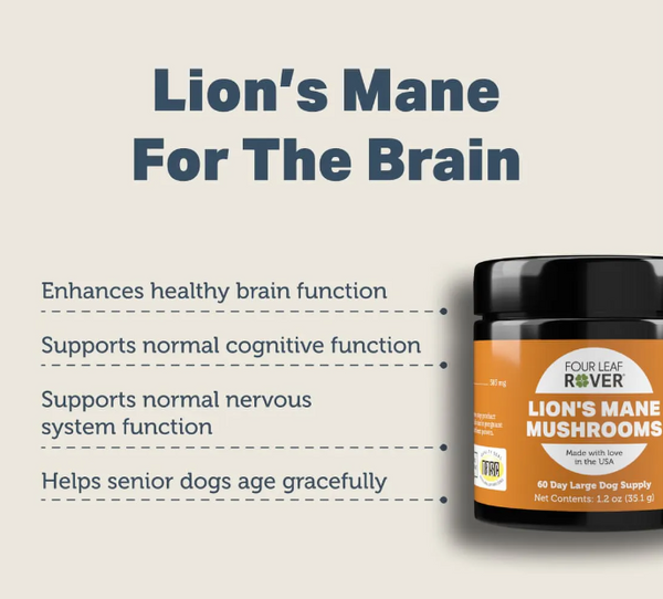 Lion’s Mane Mushrooms - Boost Brain & Neurological Functions