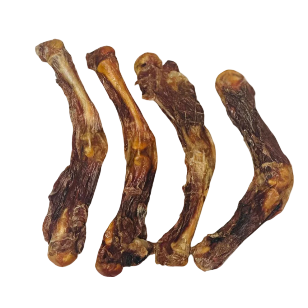 Crocodile bones for dogs hot sale