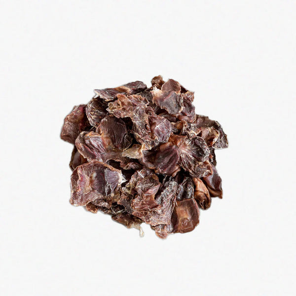 Duck Gizzard