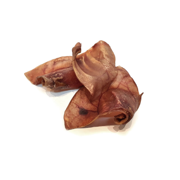 Pig Ear (Jumbo) - Chew Time