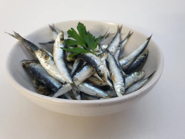 Pilchards