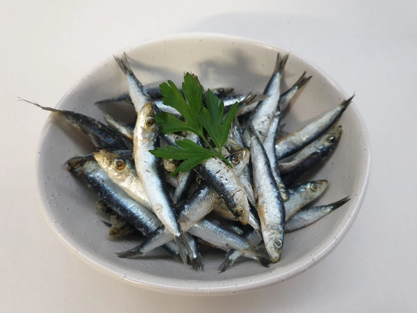 Pilchards