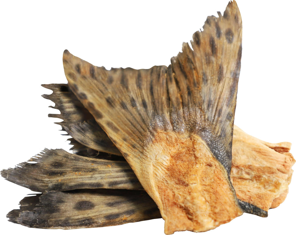 Freeze Dried Salmon Tail