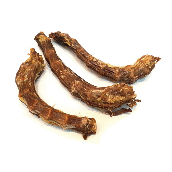 Turkey Neck - Chew Time
