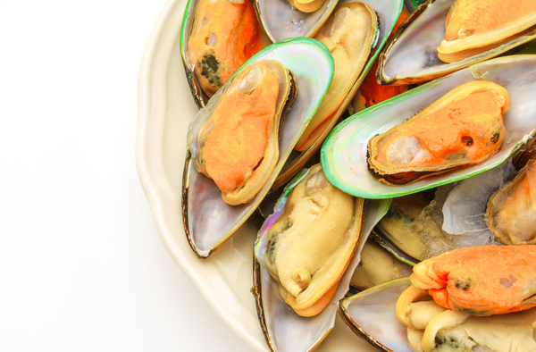 Green Lipped Mussels