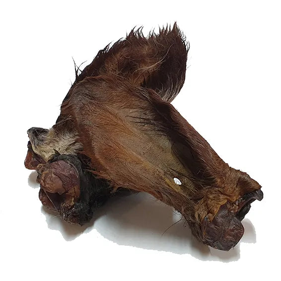 Cow Ear (Furry)