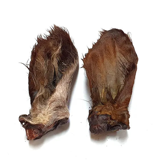 Cow Ear (Furry)