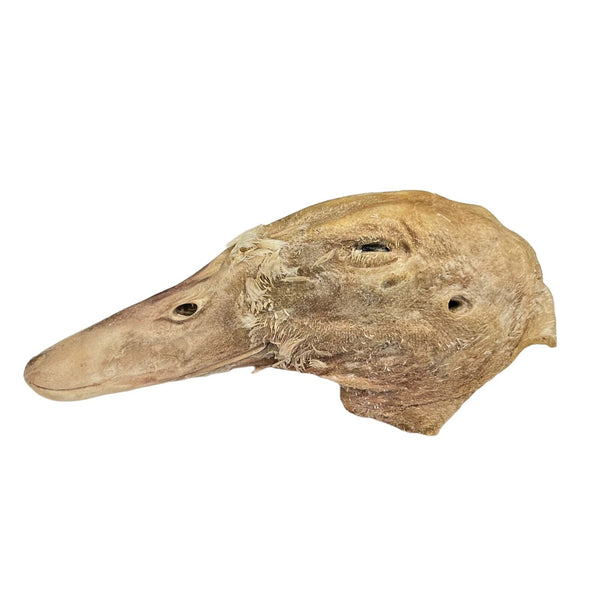 Freeze Dried Chicken Head