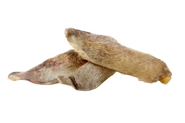 Sheep Ear (Furry)