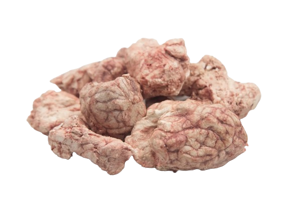 Freeze Dried Pig Brain