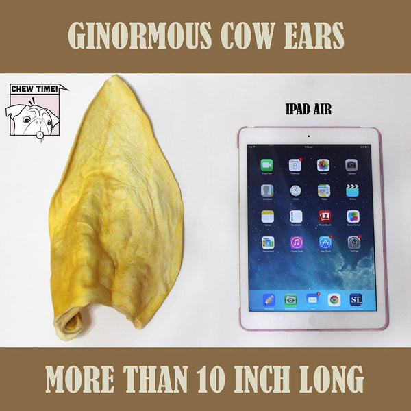 Cow Ear (Ginormous) - Chew Time - 1