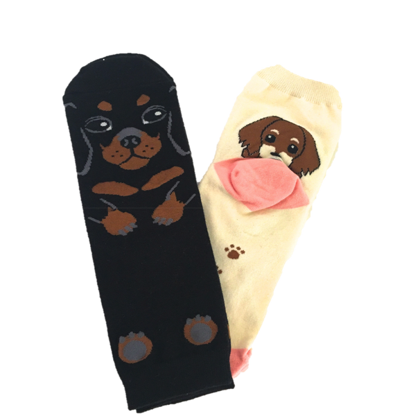 Daschund Socks - Chew Time - 1