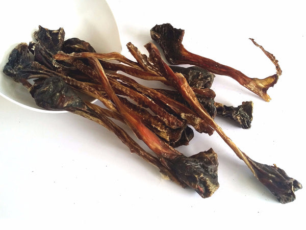 Roo Tendons (Thick) - Chew Time
