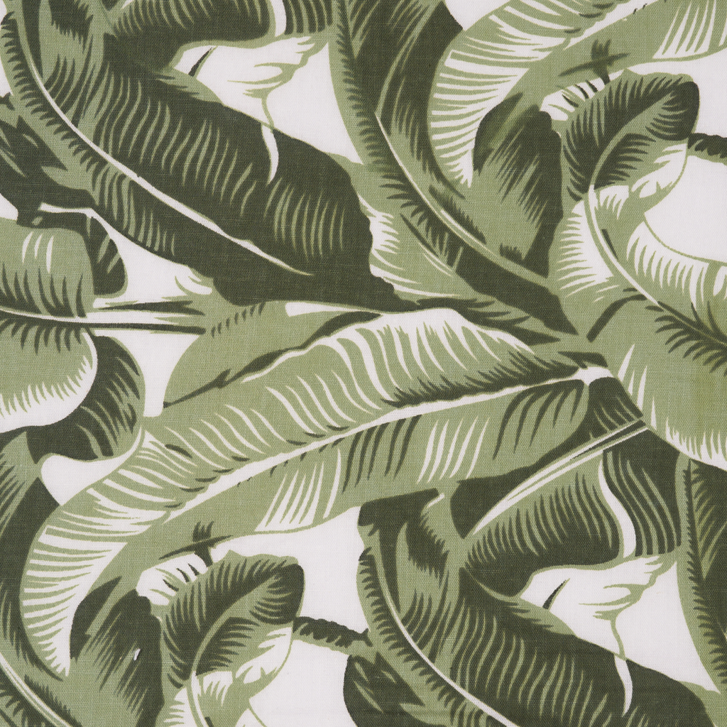 Jungle Palm