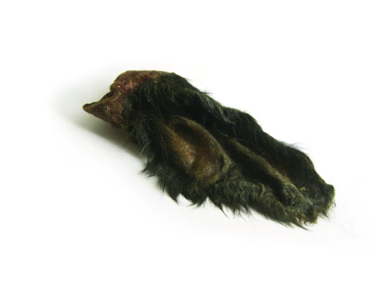 Cow Ear (Furry)