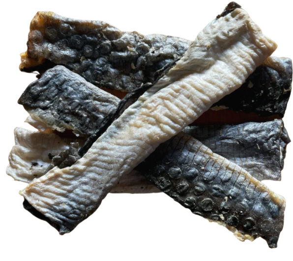 Fish Skin