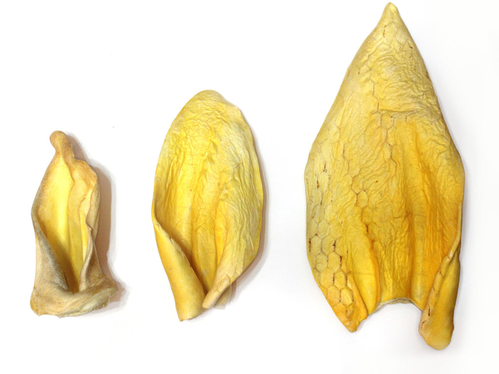 Cow Ear (Ginormous) - Chew Time - 1