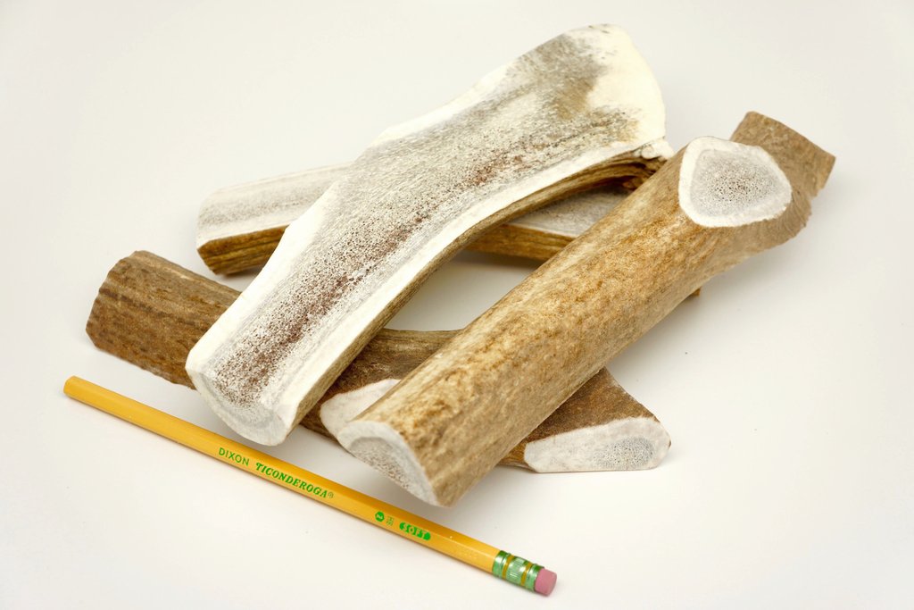 Split Antler (Halved)