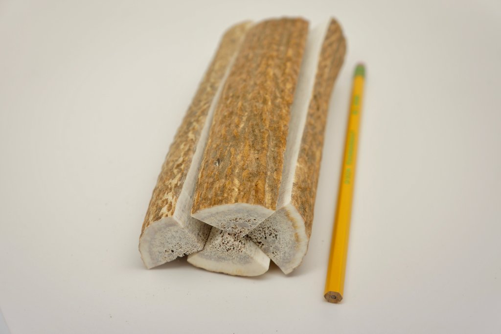 Quarter Antler