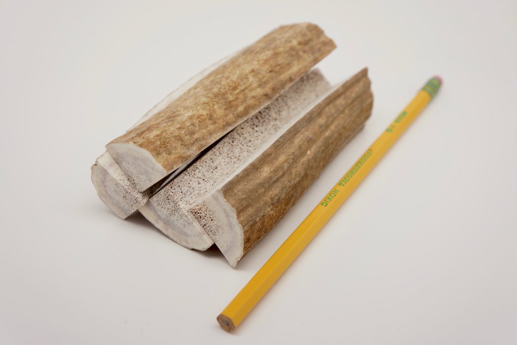 Quarter Antler