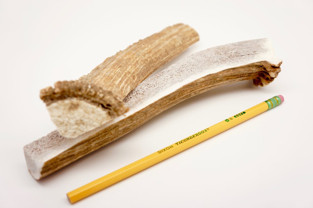 Quarter Antler