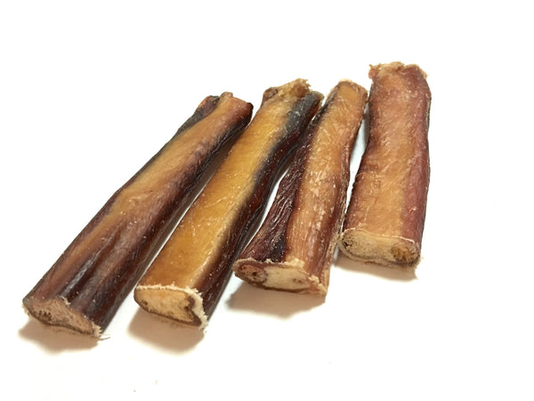 15cm Bully Stick (Jumbo, Odour Free) - Chew Time - 1