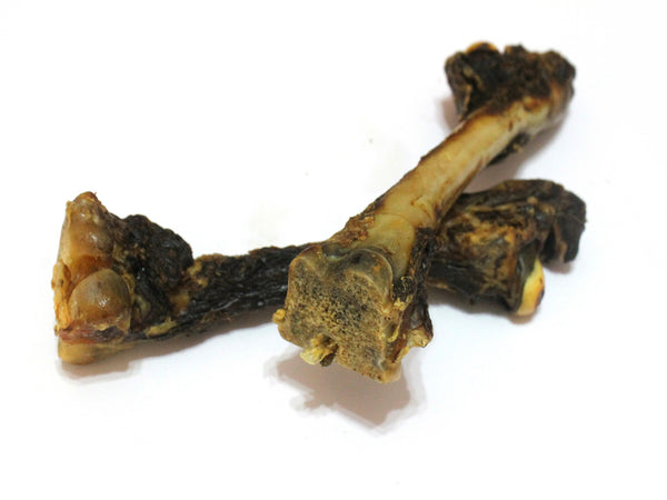 Roo Femur Bone - Chew Time