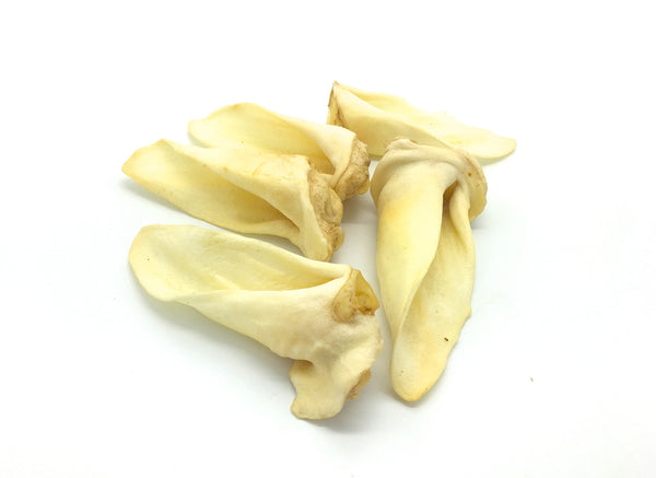 NEW! Sheep Ear - Chew Time