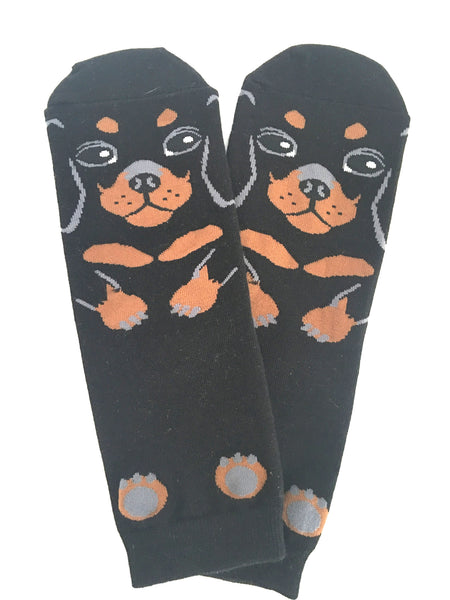 Daschund Socks - Chew Time - 1