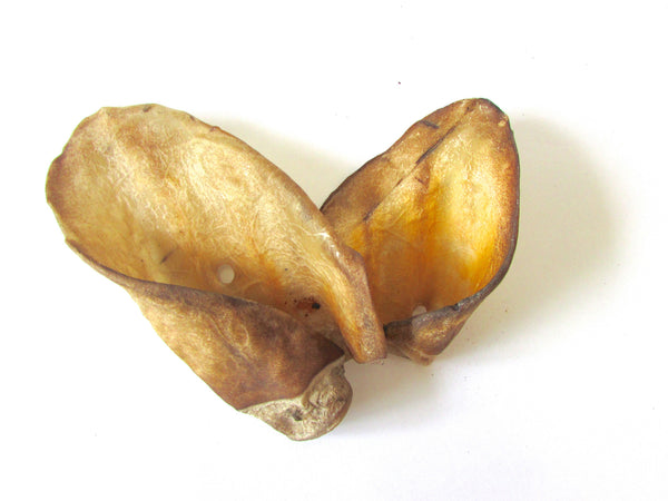 Cow Ear (Mini) - Chew Time - 1