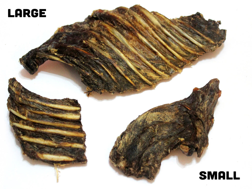 Roo Rib (Large) - Chew Time