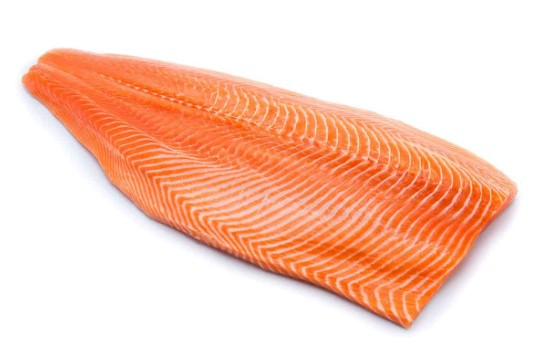 Salmon Fillet