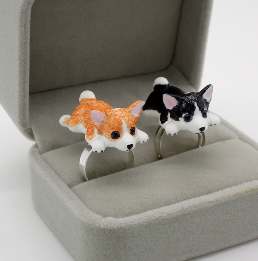 Corgi Ring Chew Time