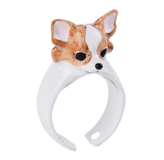 Chihuahua Ring