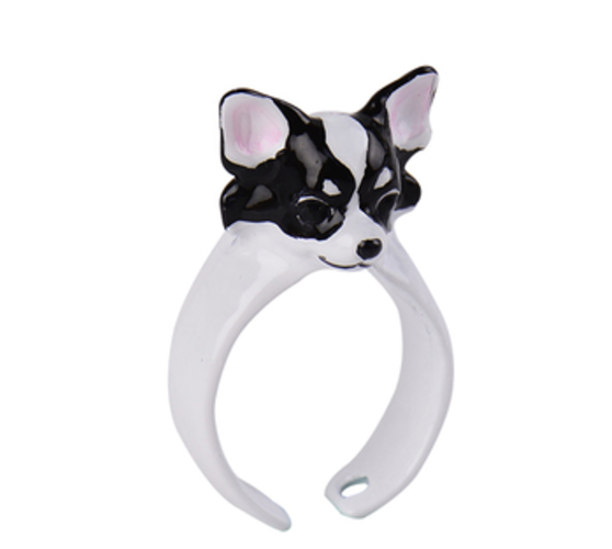 Chihuahua Ring