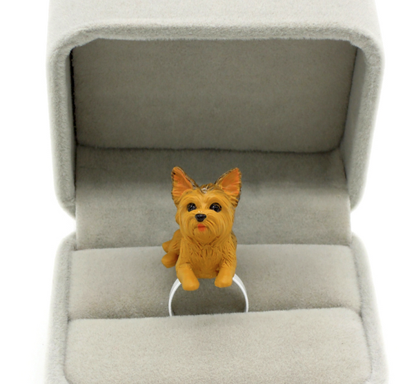 Silky Terrier
