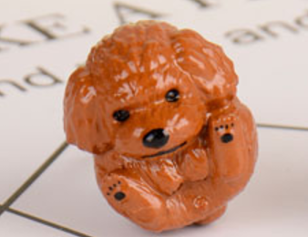 Toy Poodle Ring