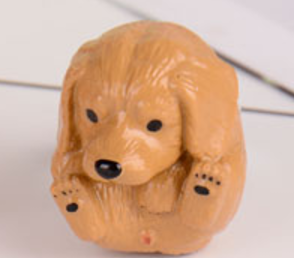 Golden Retriever Ring