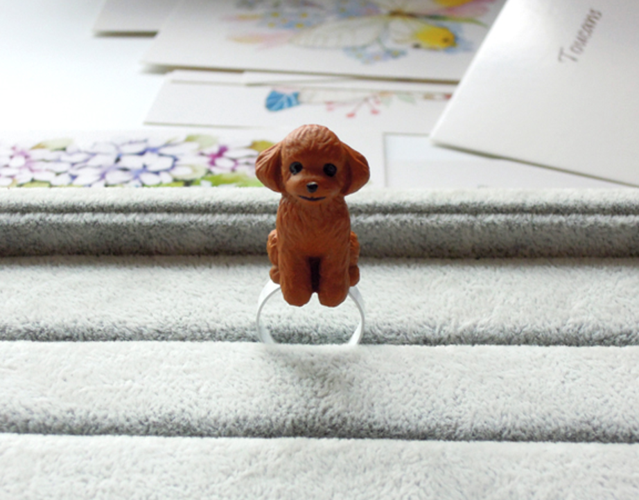 Toy Poodle Ring