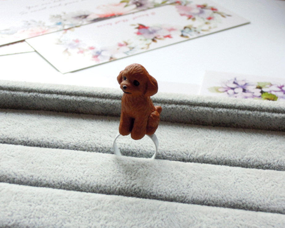 Toy Poodle Ring