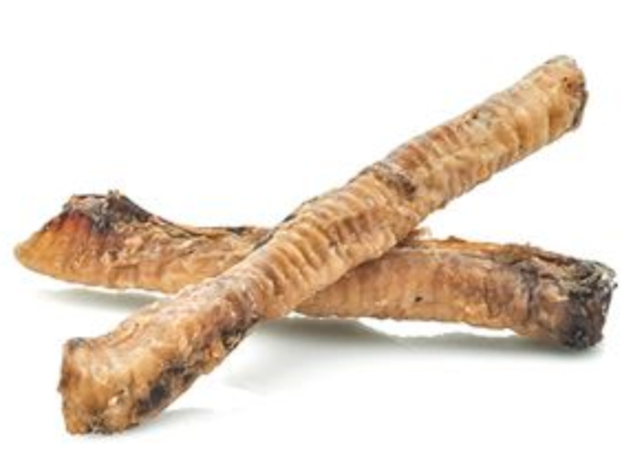 Lamb Trachea