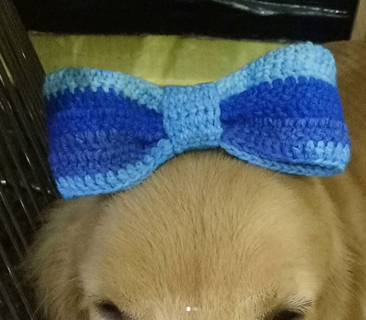Crochet Bow Tie