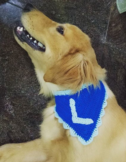 Crochet Initial Bandana