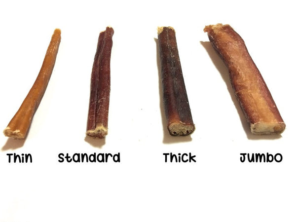 15 cm Bully Stick (Thick, Odour-free) - Chew Time - 1