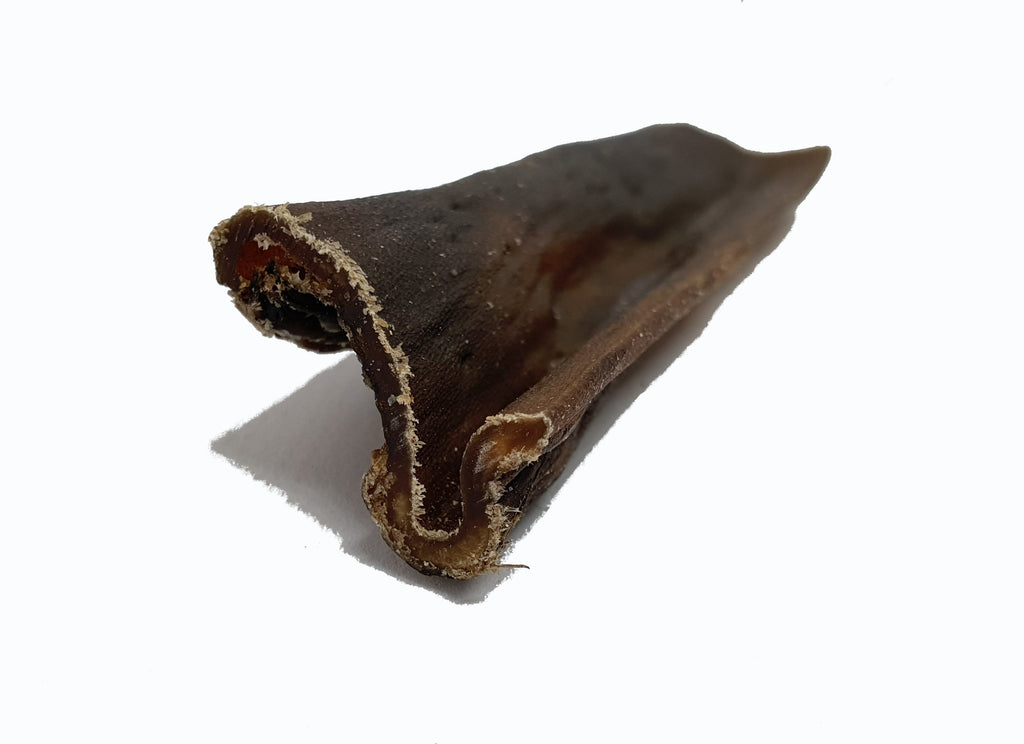 Camel Skin