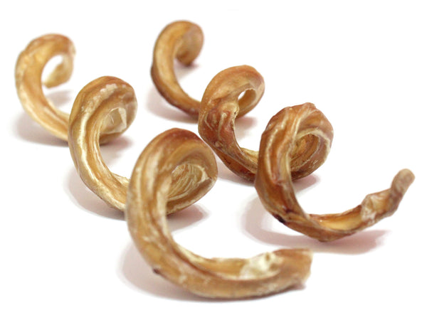 Bully Twirl (Mini) - Chew Time - 1