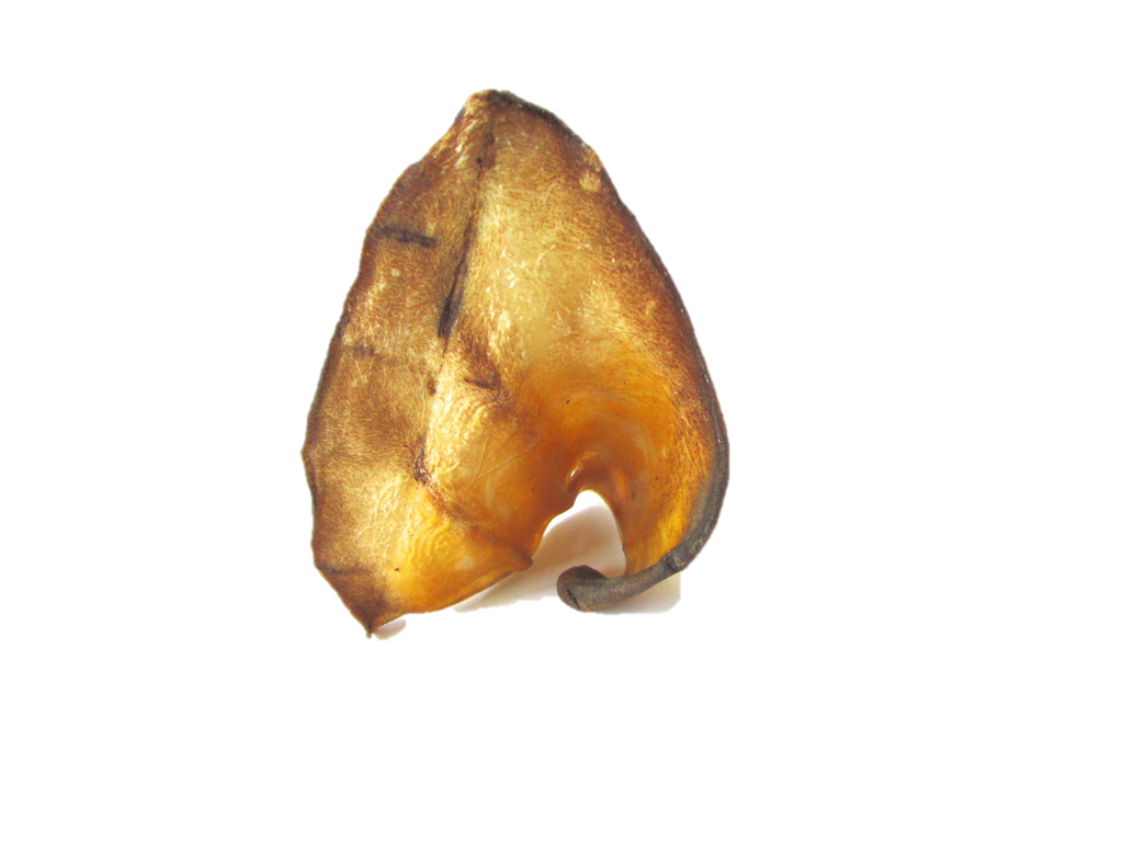 Cow Ear (Mini) - Chew Time - 3
